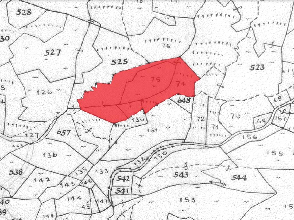 Field-Kalopanagiotis-PR12575
