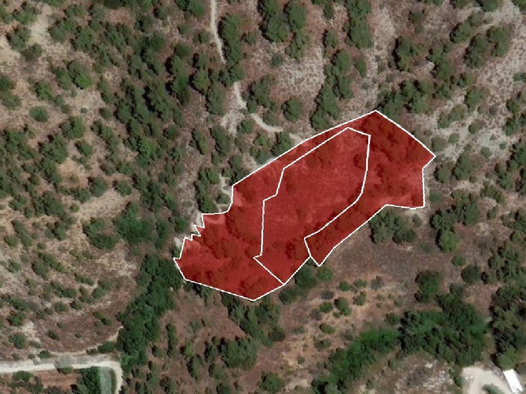 Field-Kalopanagiotis-PR12575