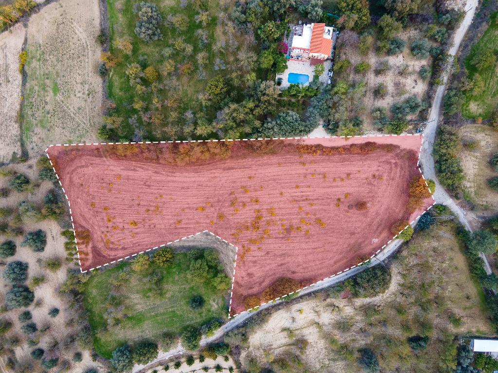 Field - Giolou, Paphos