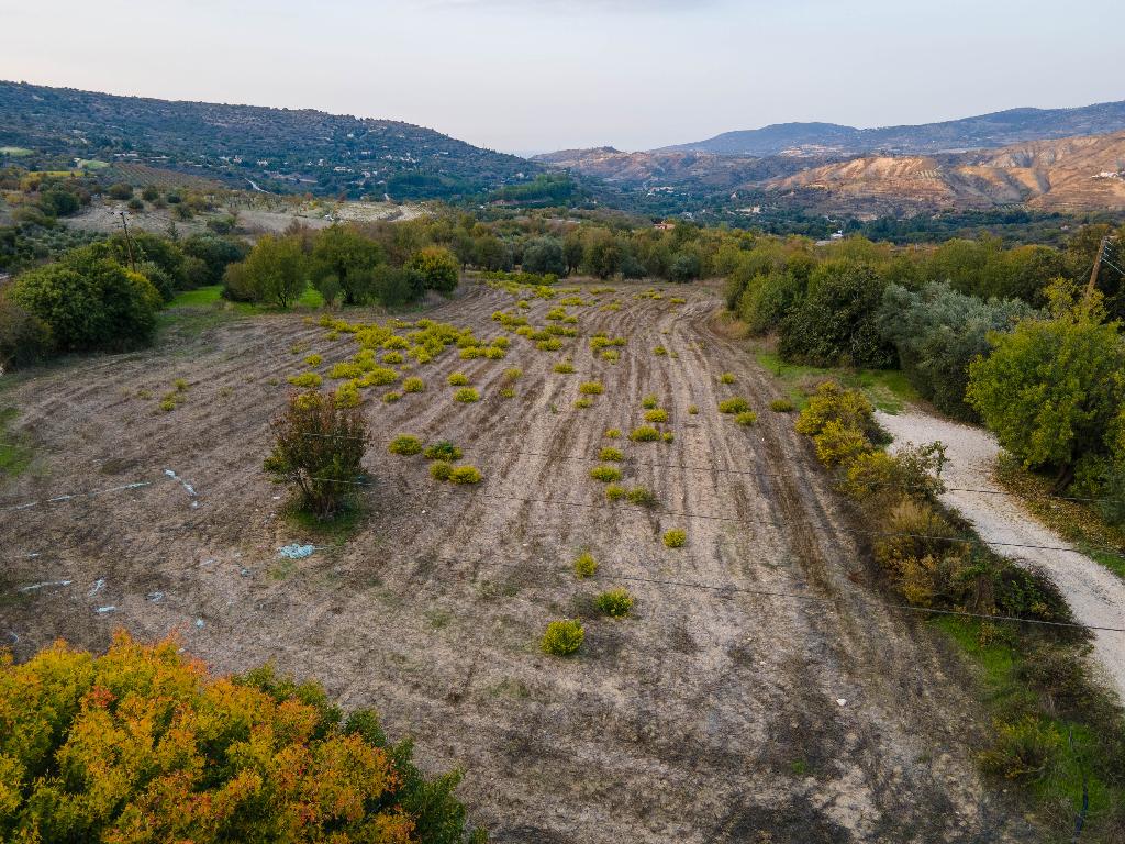 Field - Giolou, Paphos
