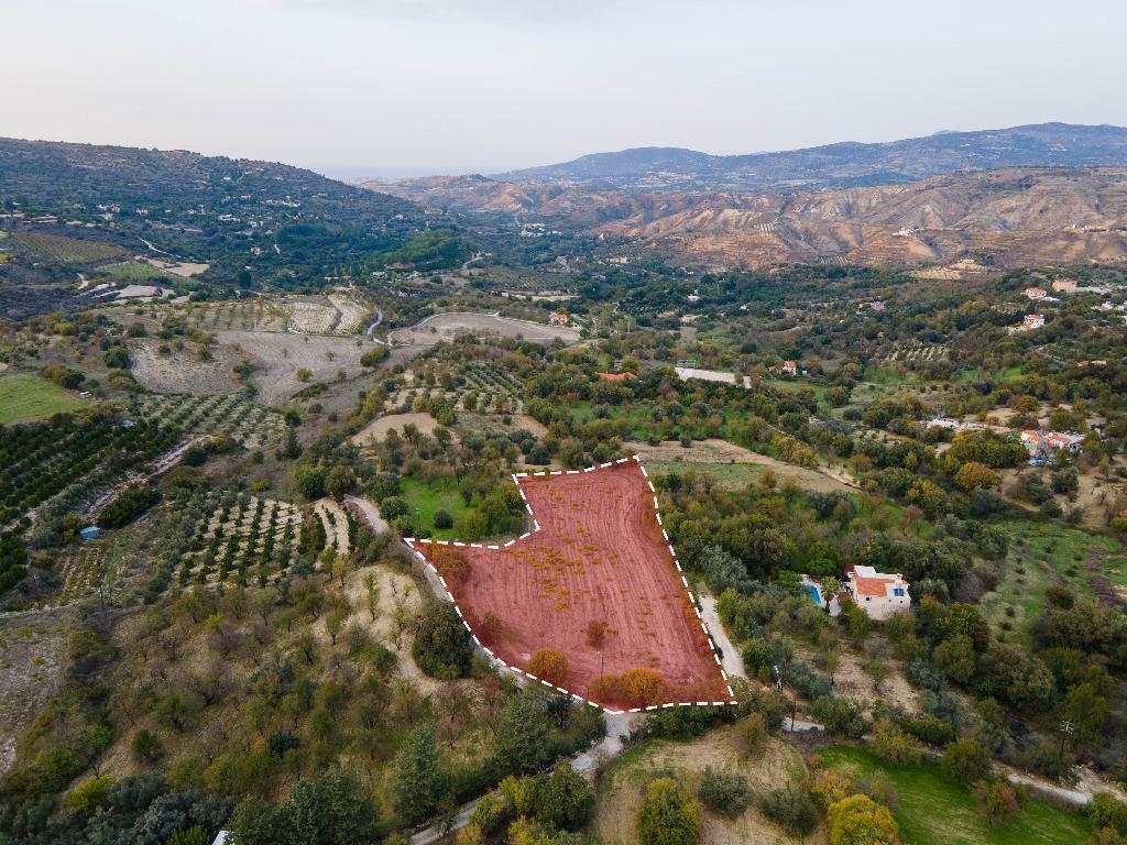 Field - Giolou, Paphos