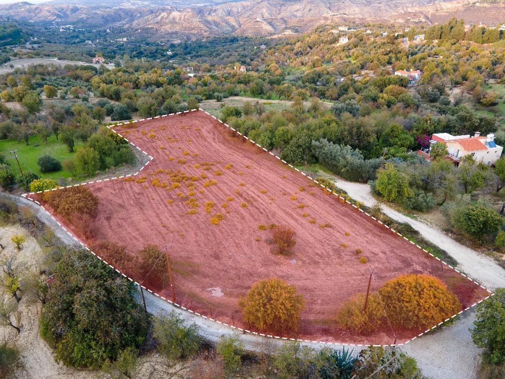 Field - Giolou, Paphos