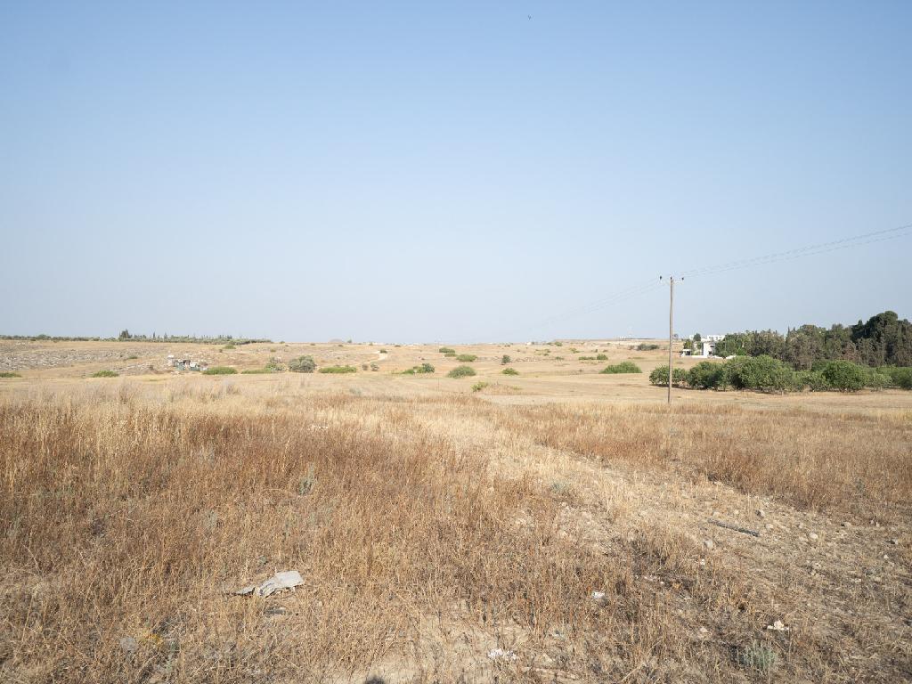 Field-Geri-PR35165