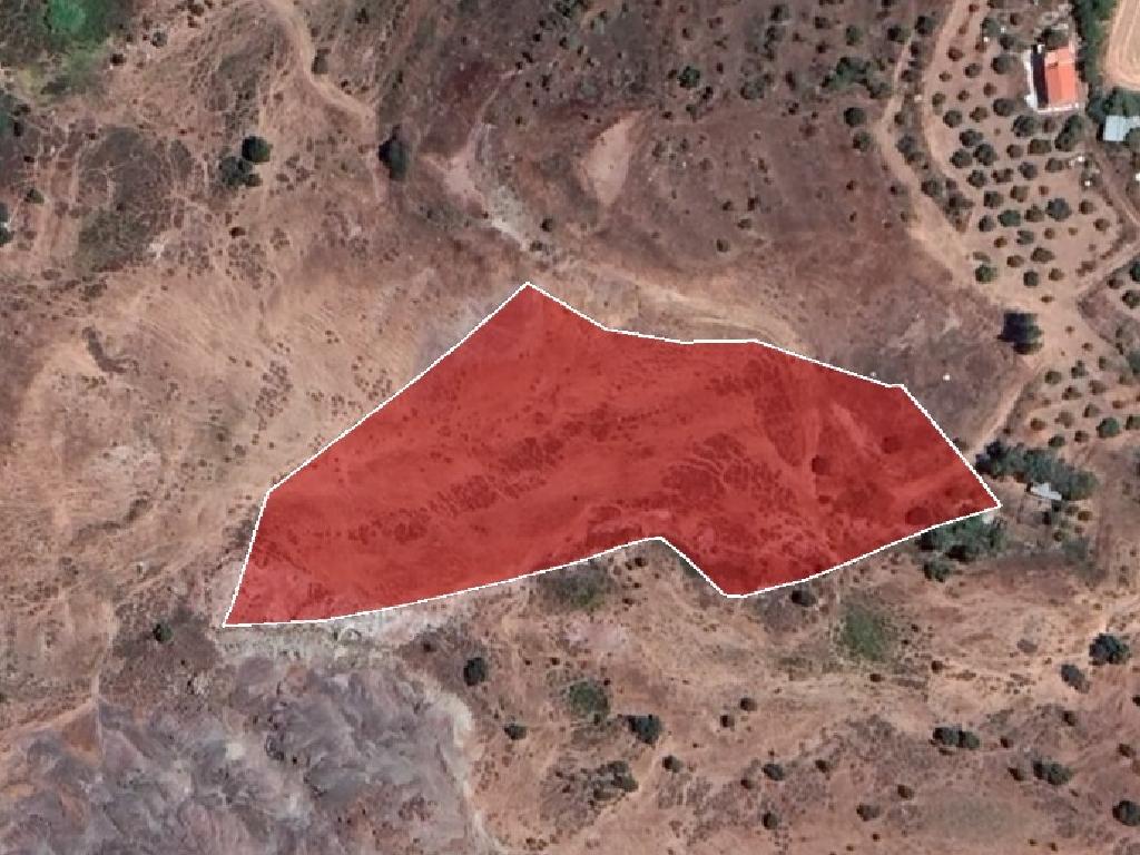 Field-Choletria-PR35400