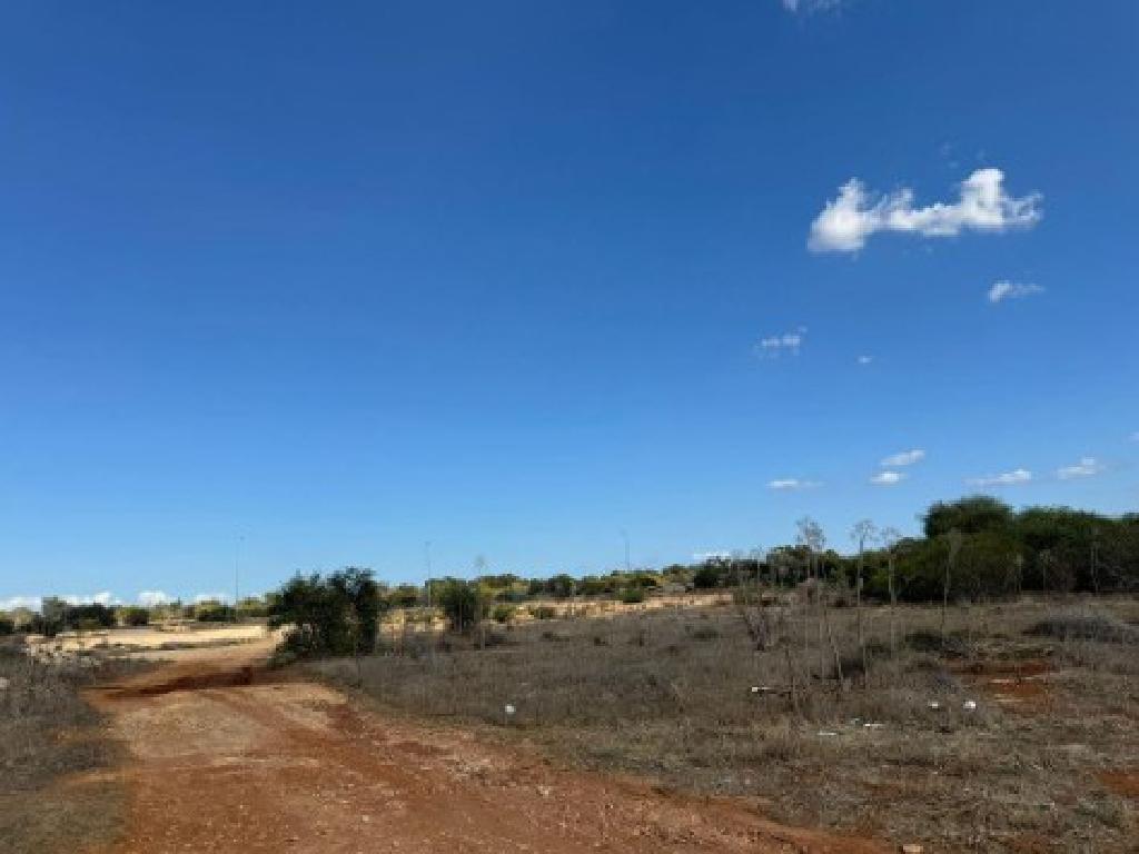 Field-Sotira-PR35615