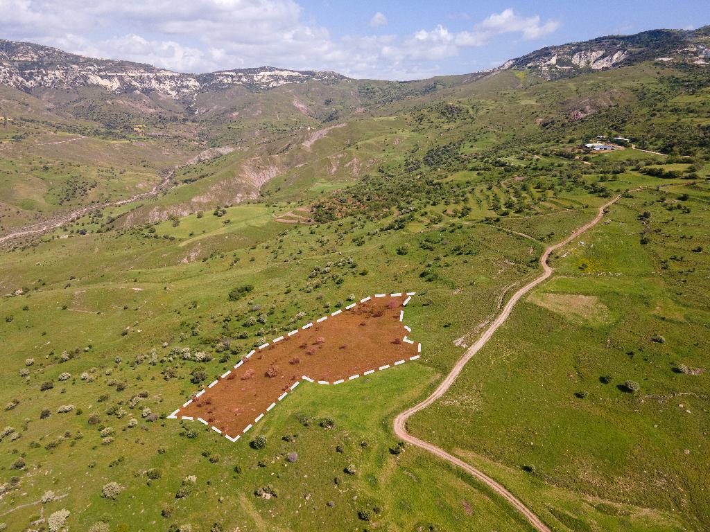 Field-Kelokedara-PR36884