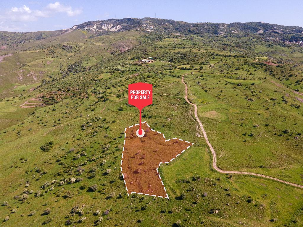 Field-Kelokedara-PR36884