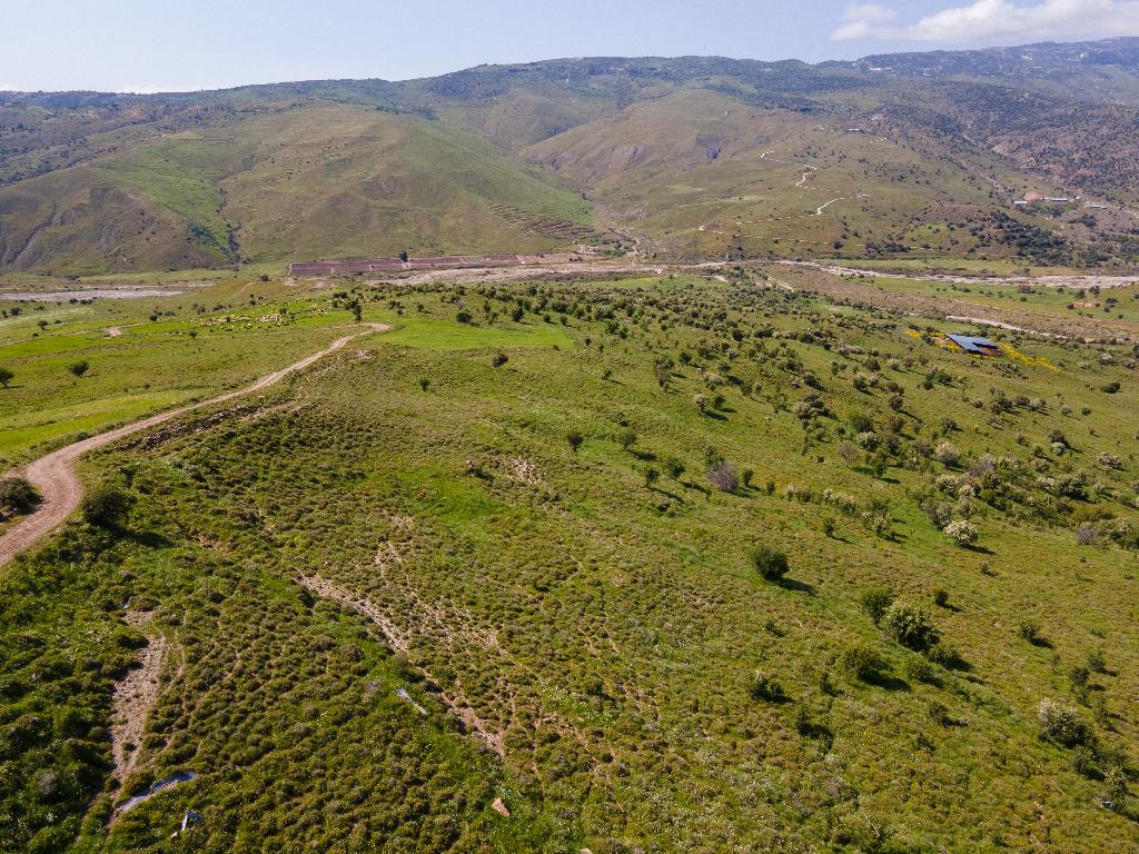 Field-Kelokedara-PR36884