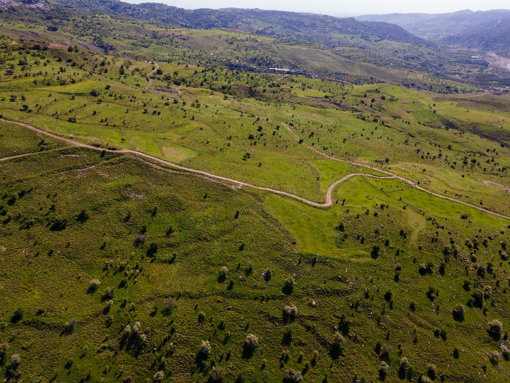 Field-Kelokedara-PR36884