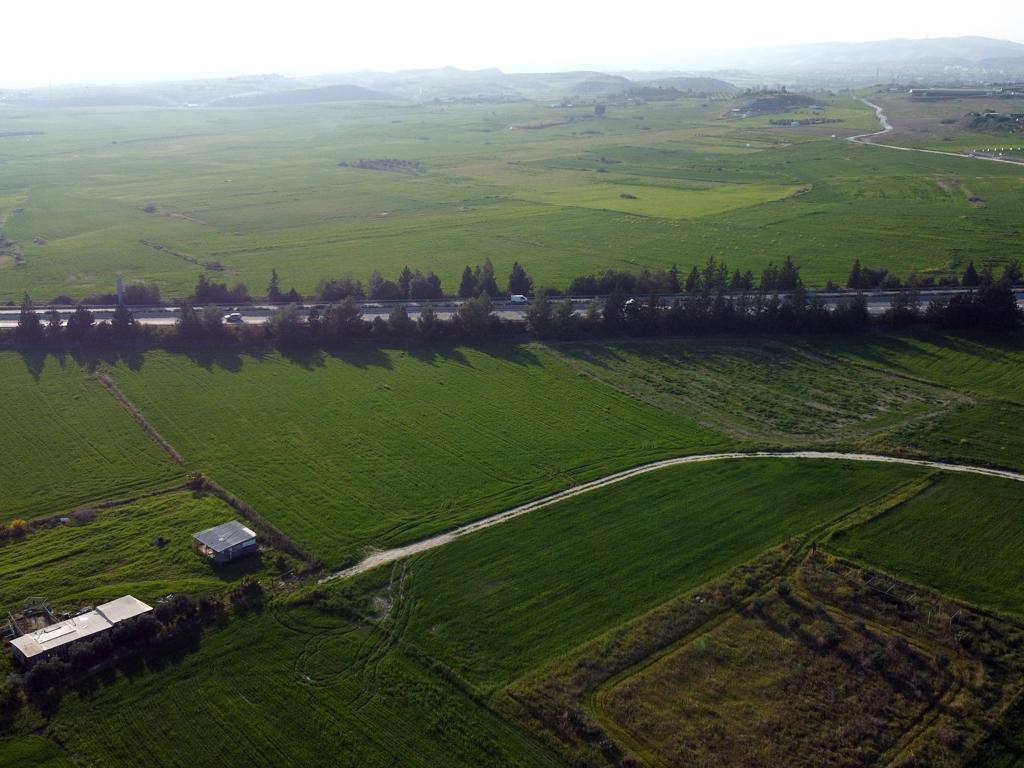 Field - Aradipou, Larnaka