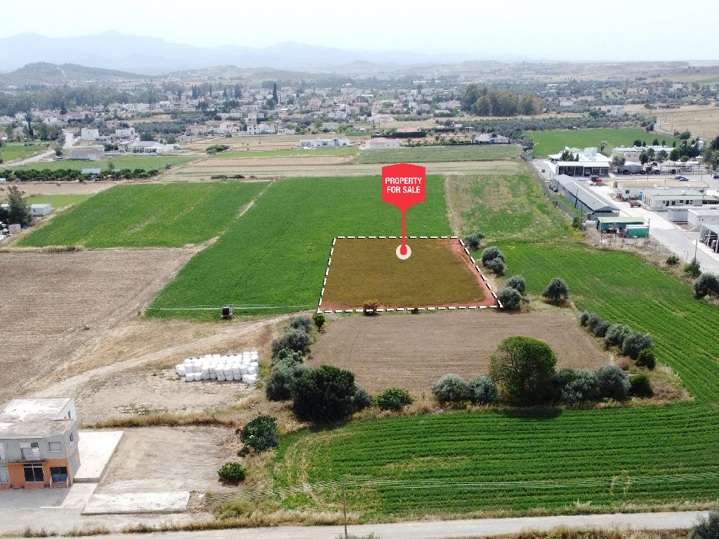 Field-Dali-PR37610