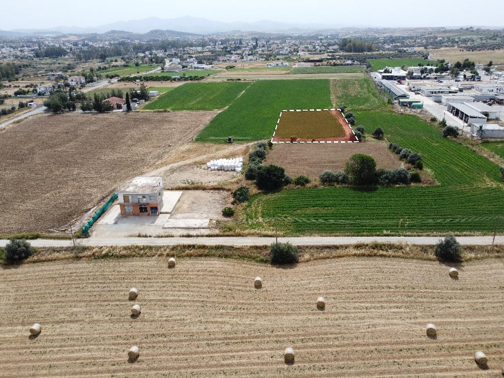 Field-Dali-PR37610