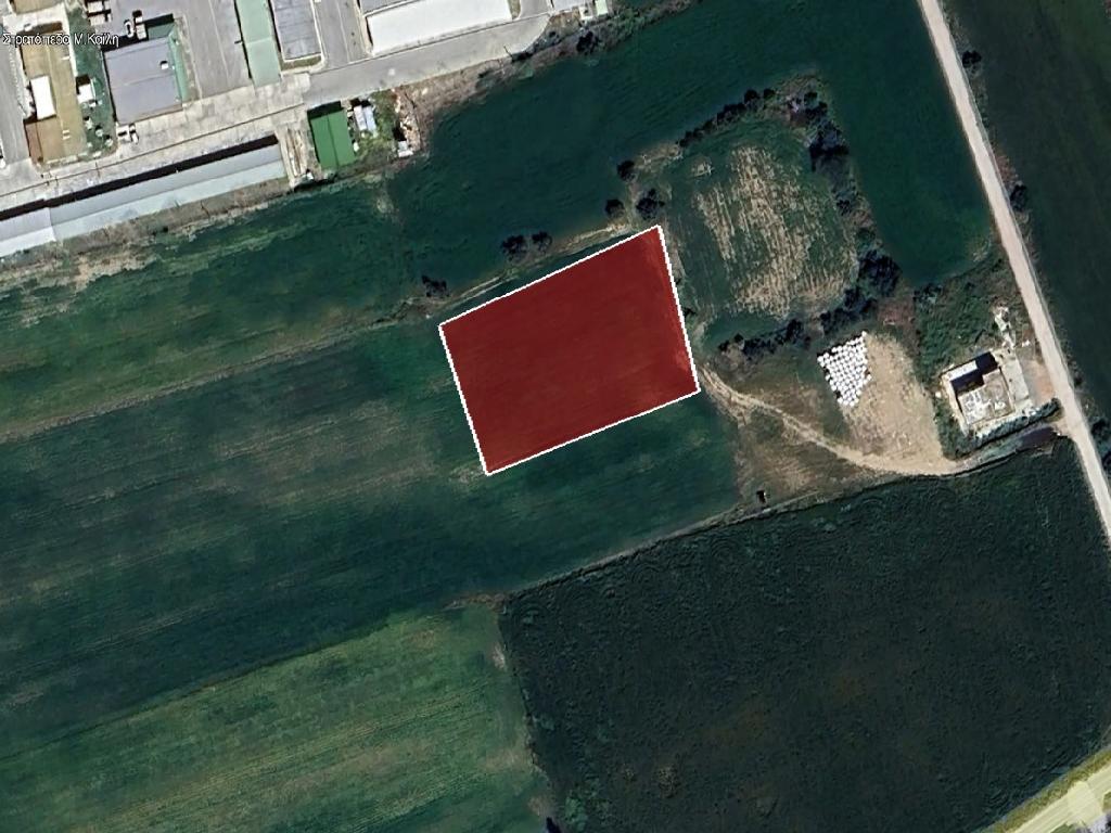 Field-Dali-PR37610