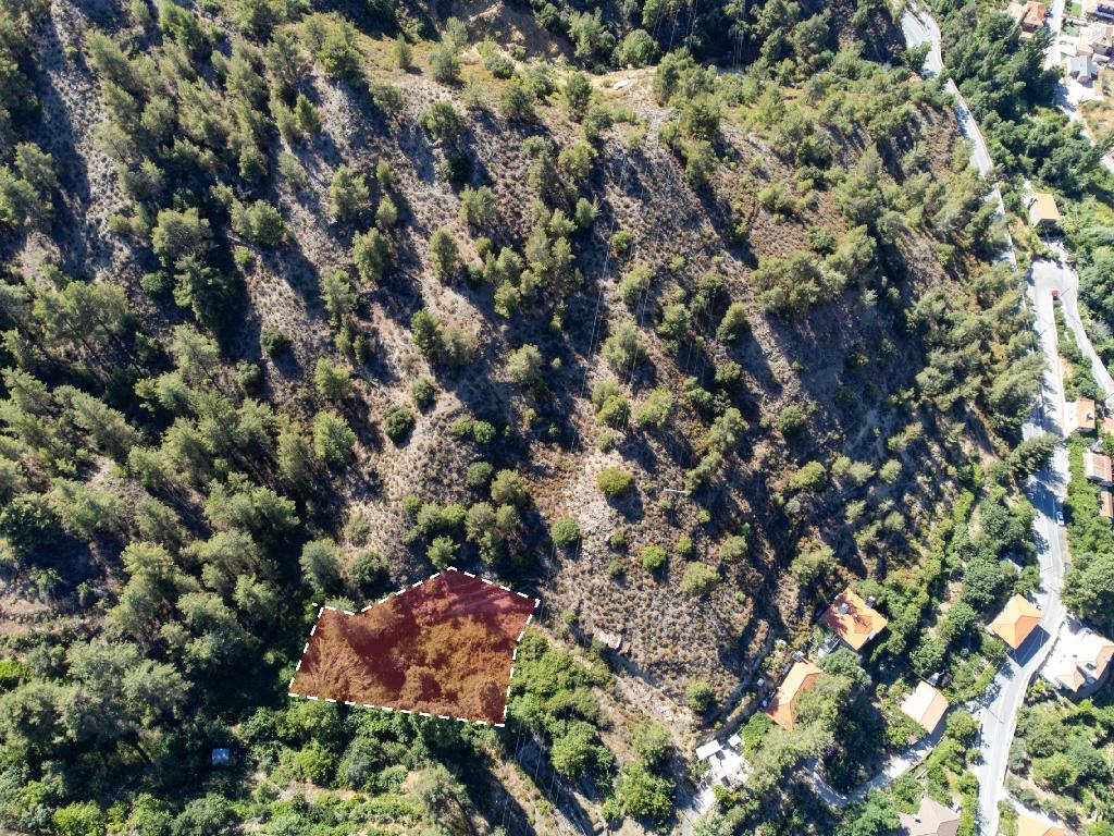 Field-Kakopetria-PR38562