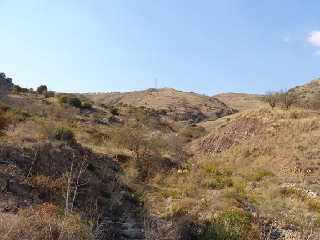 Field-Marathounta-PR38921