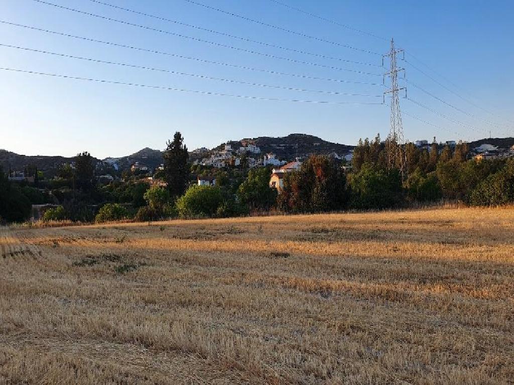 Field - Skarinou, Larnaca