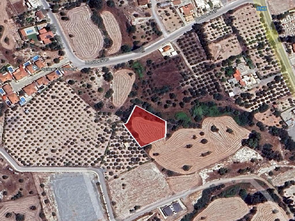 Field - Skarinou, Larnaca