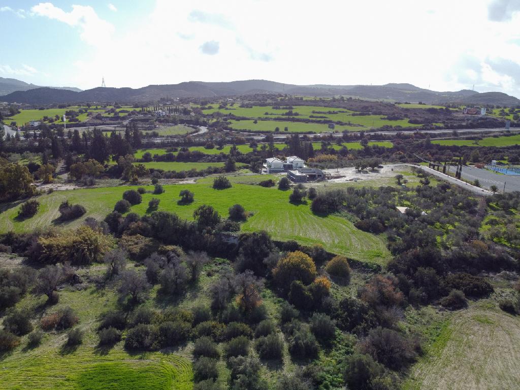 Field - Skarinou, Larnaca