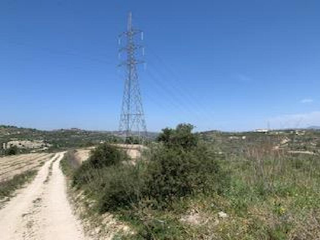 Field-Tsada-PR40074