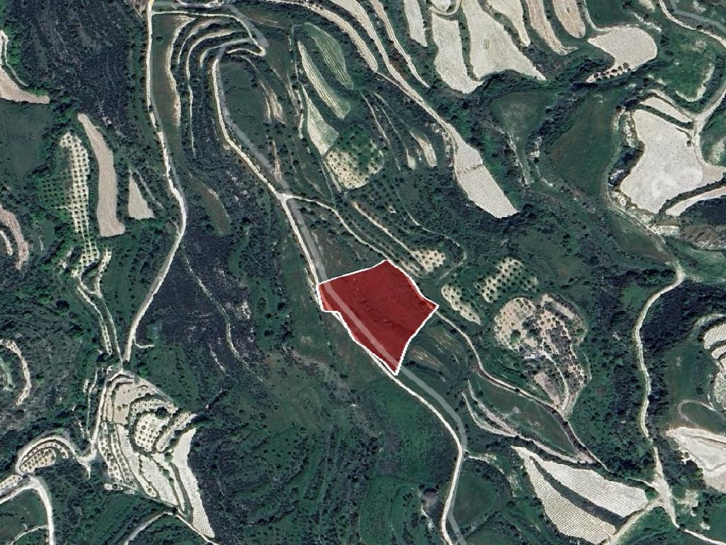 Field-Tsada-PR40074
