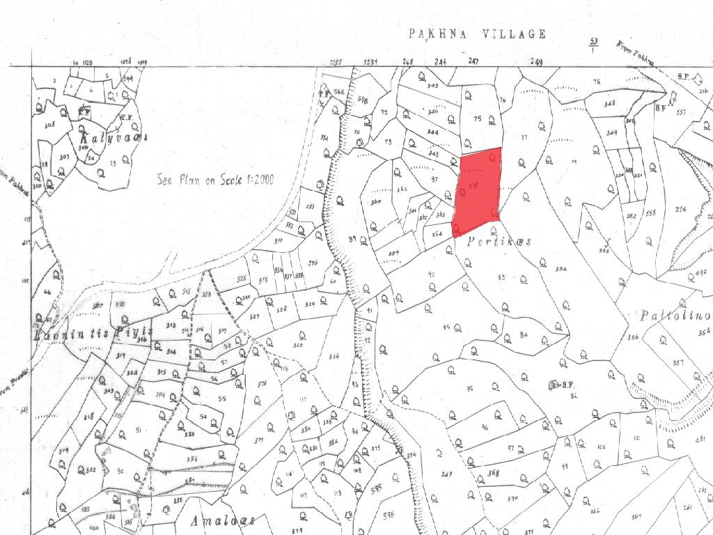 Field-Pachna-PR40217