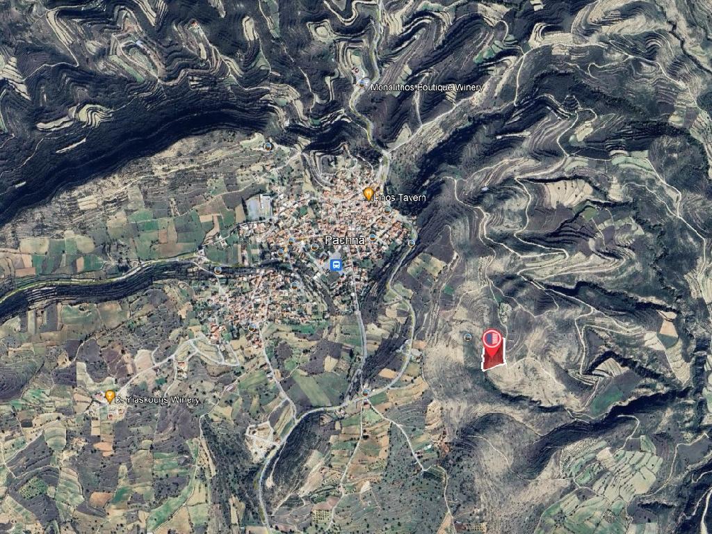 Field-Pachna-PR40217