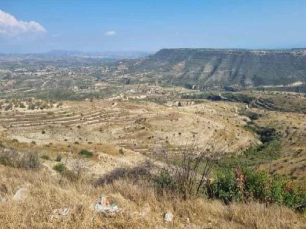 Field-Pachna-PR40217
