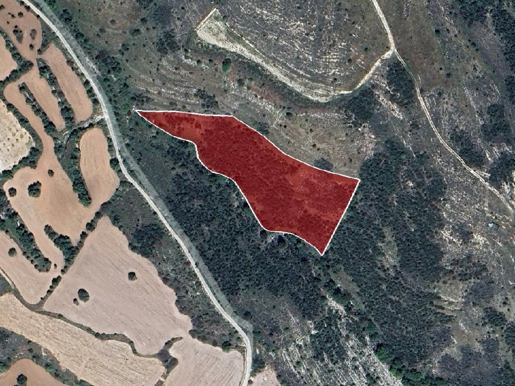 Field-Tsada-PR40292