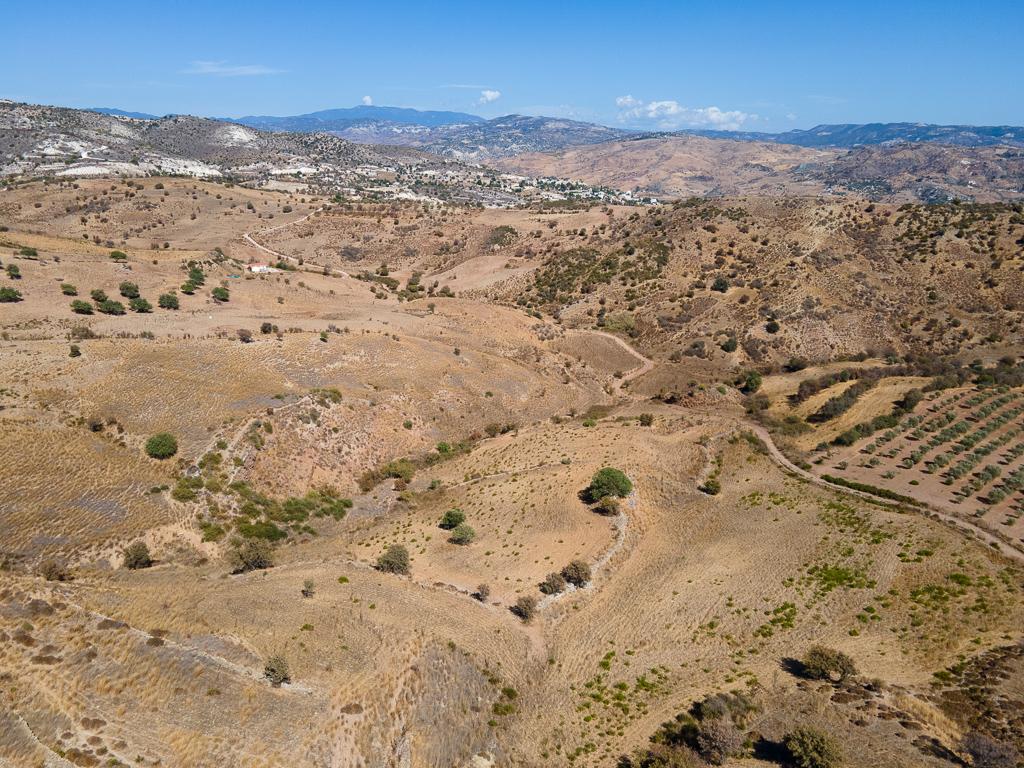 Field-Nata-PR40479
