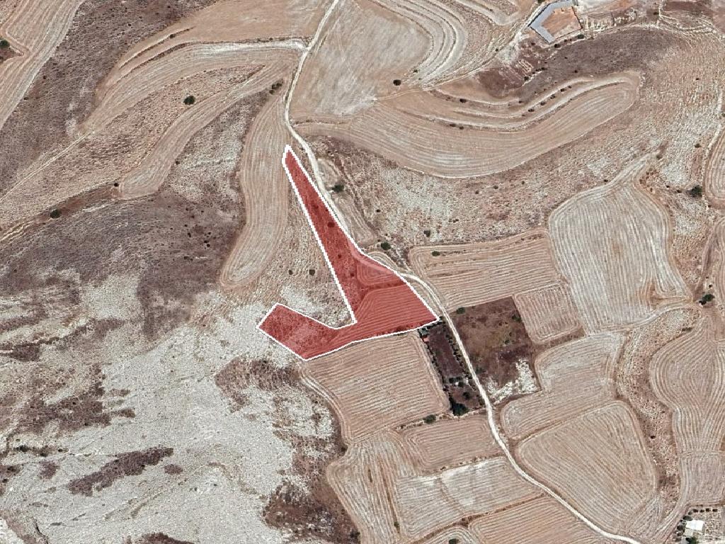 Field-Aradippou-PR41556