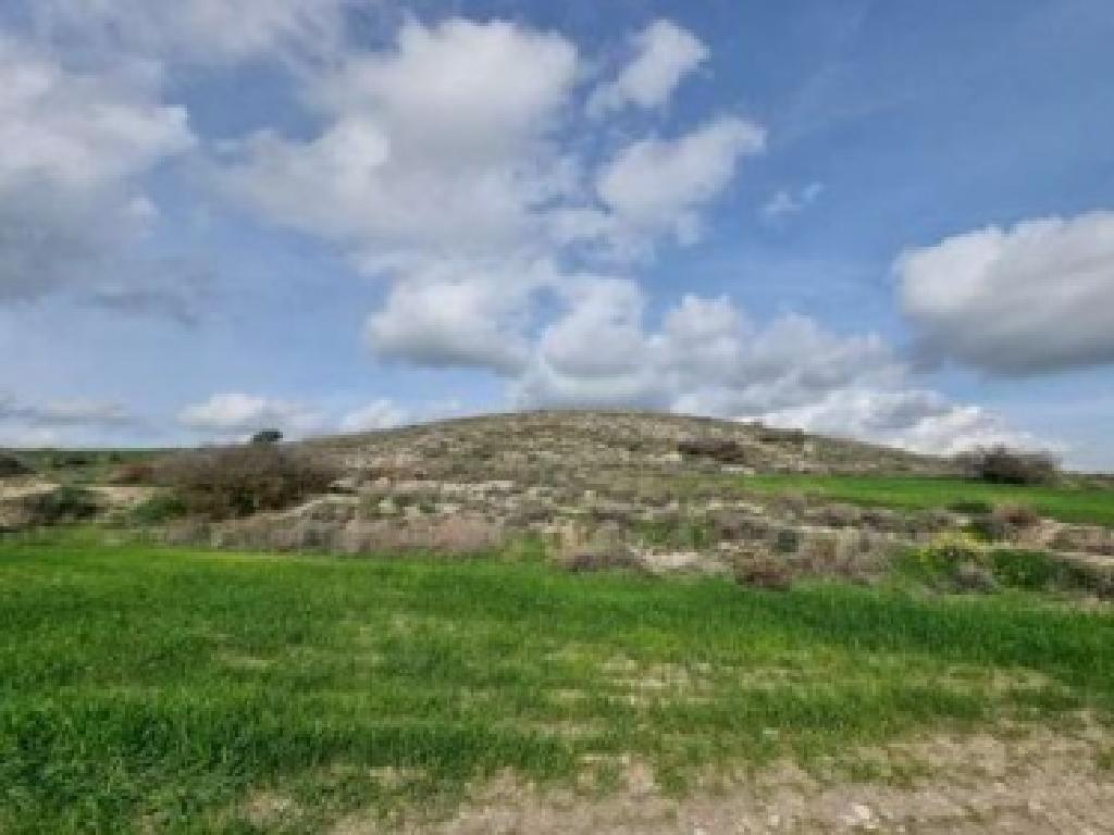 Field-Aradippou-PR41556