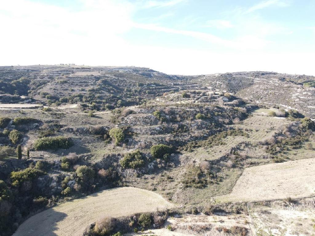 Field-Theletra-PR41726