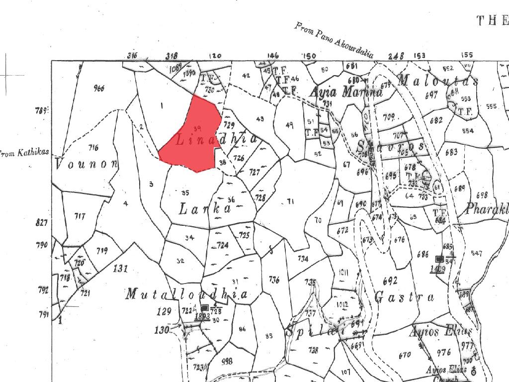 Field-Theletra-PR41726