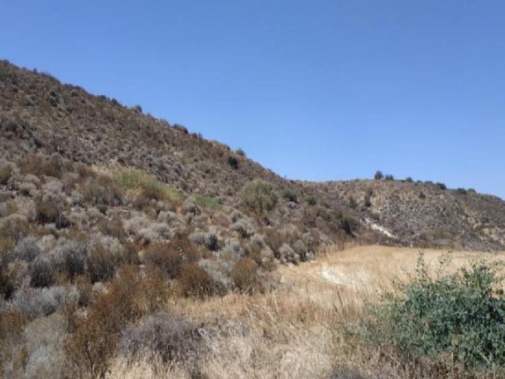 Field-Analiontas-PR42313