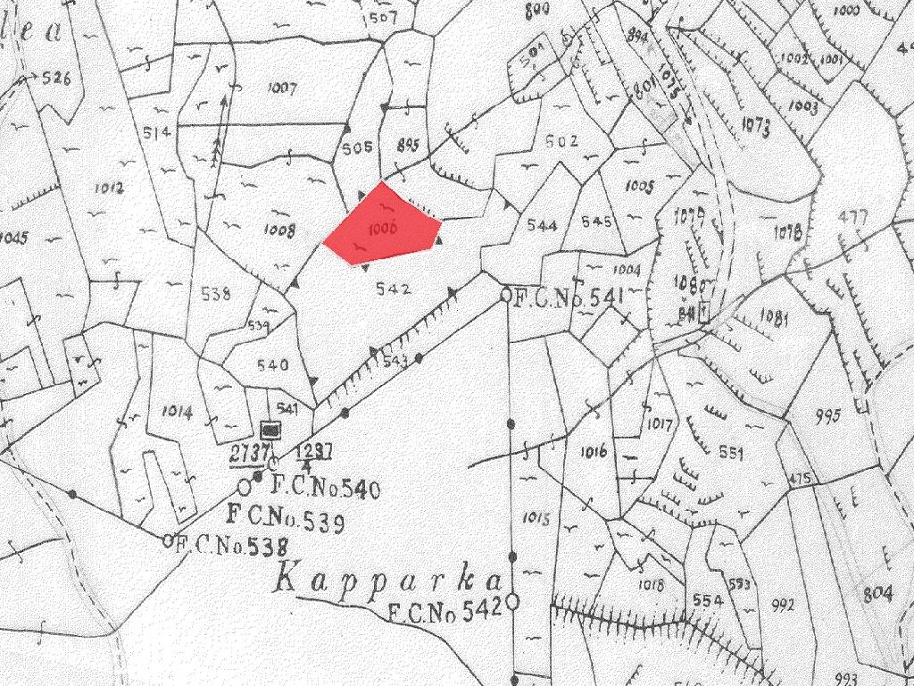 Field-Agios Epifanios (Oreinis)-PR42433