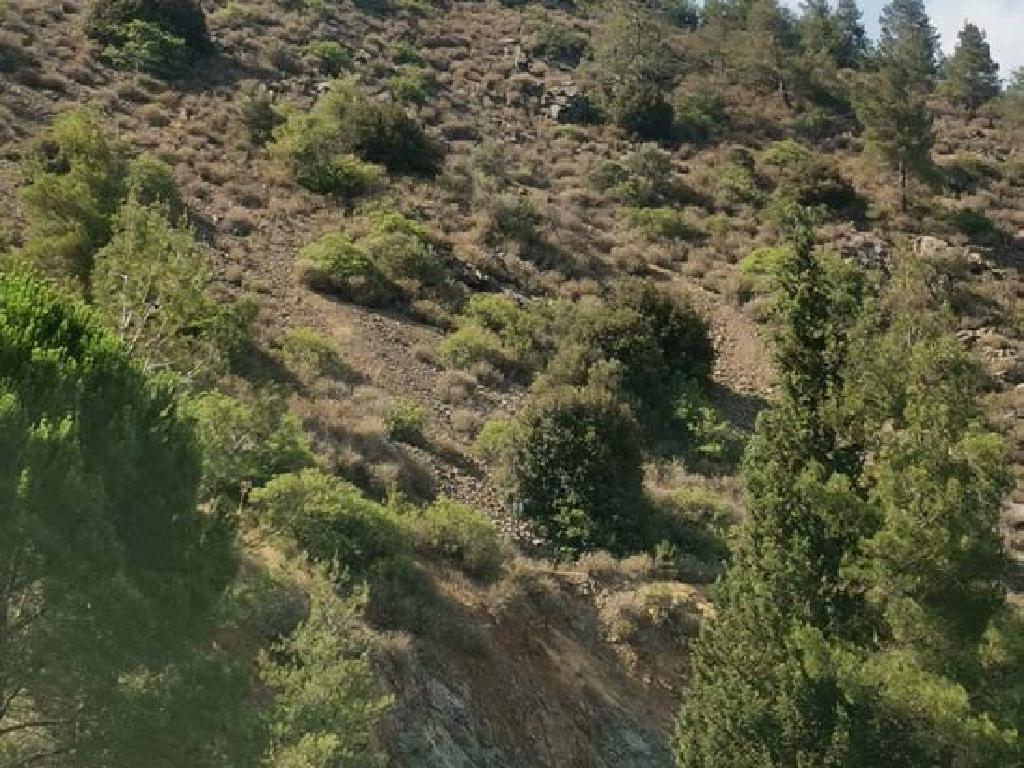 Field-Agios Epifanios (Oreinis)-PR42433