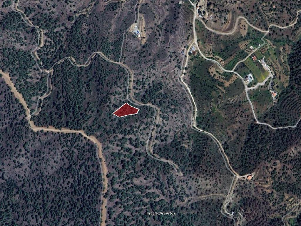 Field-Agios Epifanios (Oreinis)-PR42433