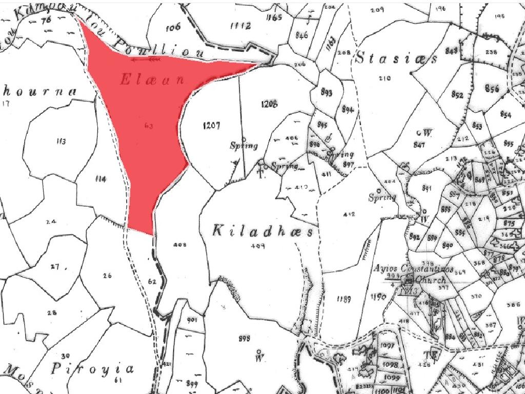 Field-Meladeia-PR43312