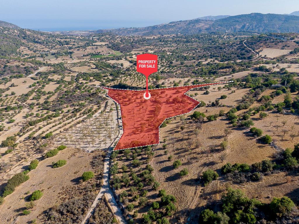 Field - Meladeia, Paphos