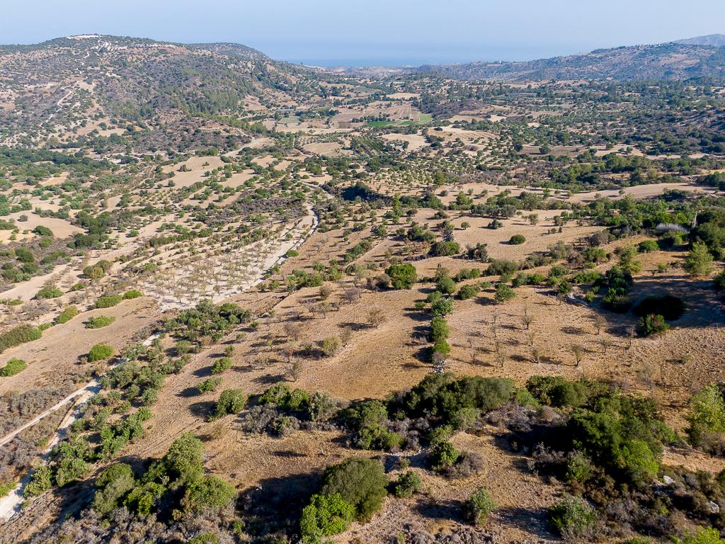 Field - Meladeia, Paphos