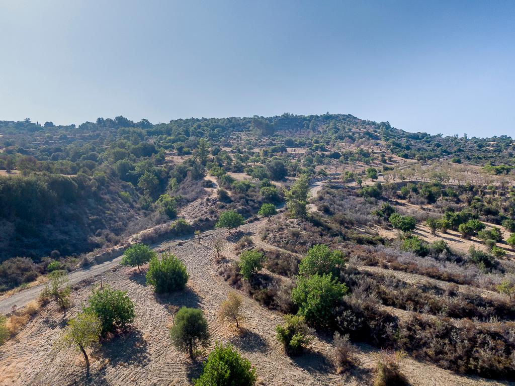 Field - Meladeia, Paphos