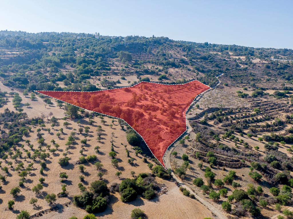 Field - Meladeia, Paphos