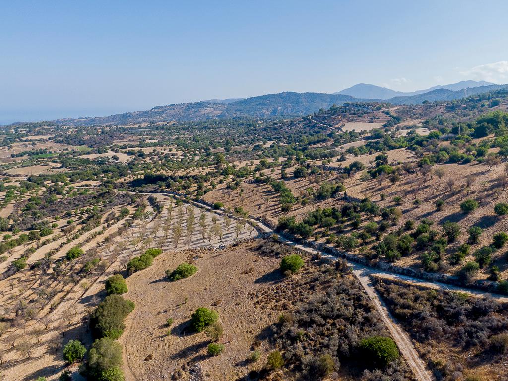Field - Meladeia, Paphos