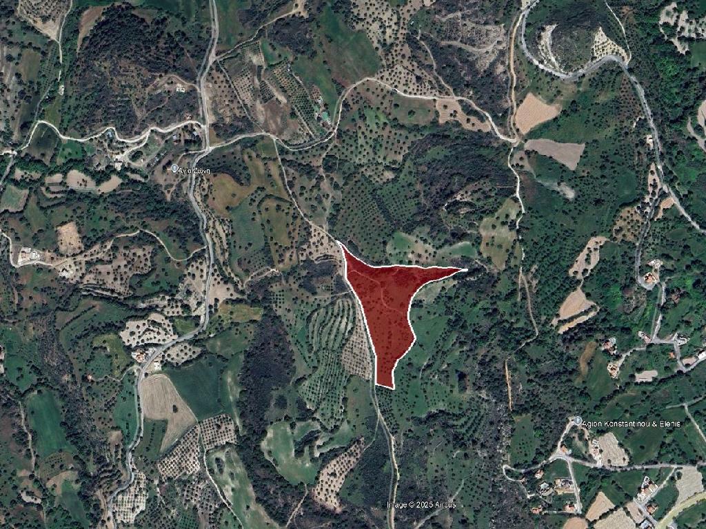 Field-Meladeia-PR43312