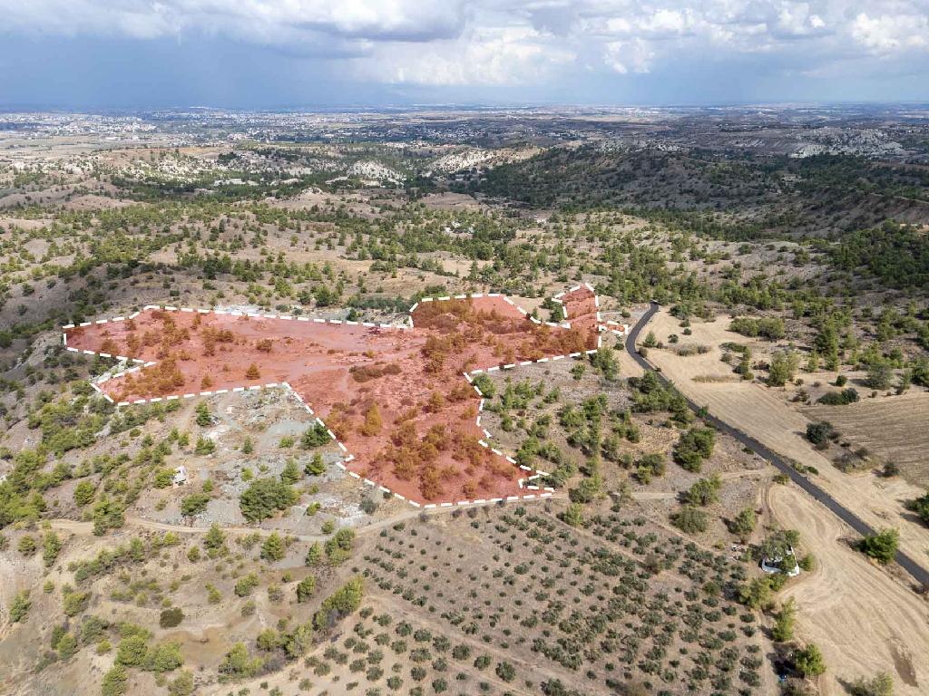 Field - Politiko, Nicosia
