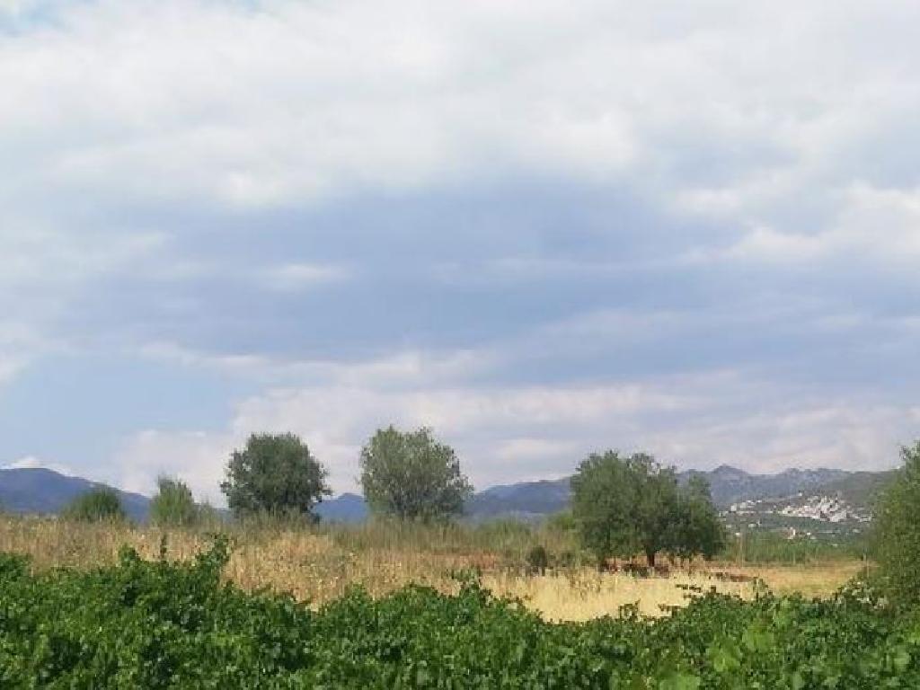 Field-Silikou-PR13941