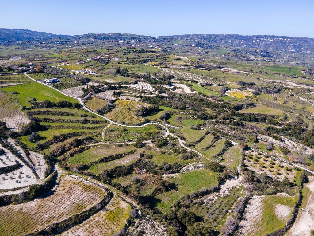 Field - Polemi, Paphos