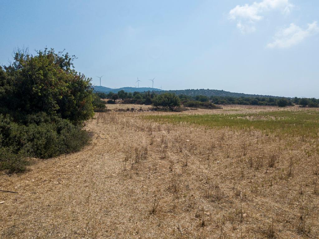 Field - Kouklia, Paphos