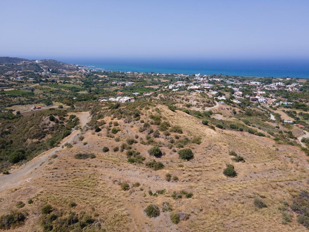 Field - Kato Pyrgos, Nicosia