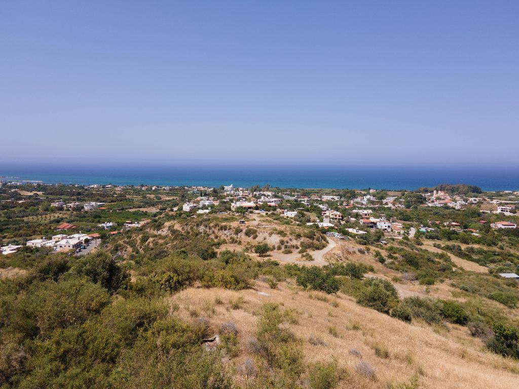 Field - Kato Pyrgos, Nicosia